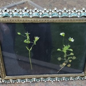 4x6 metal frame with flower press on black